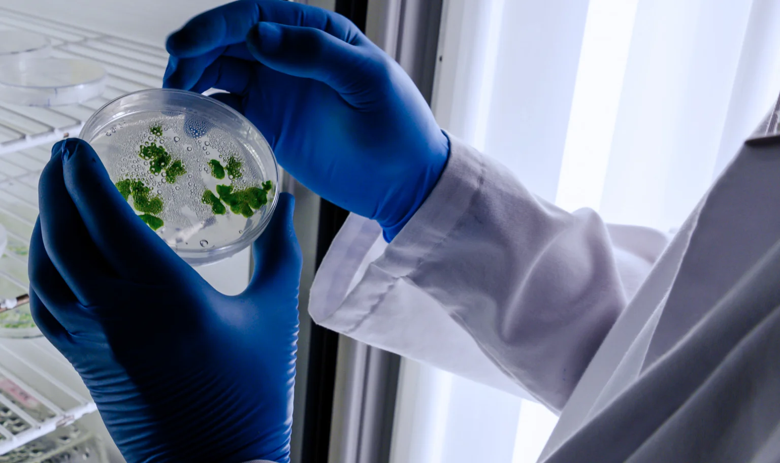 Environmental Toxins Testing at AgeRejuvenation in Tampa, FL